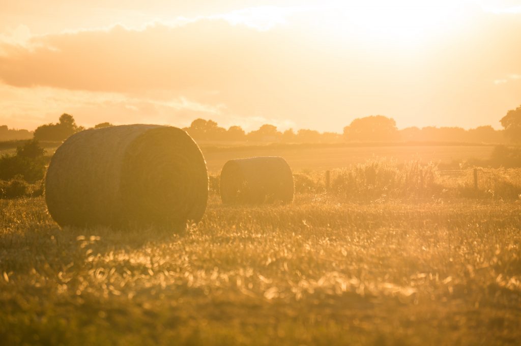 Farmer Background