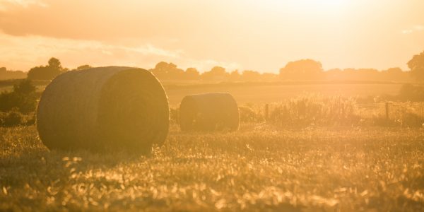 Farmer Background